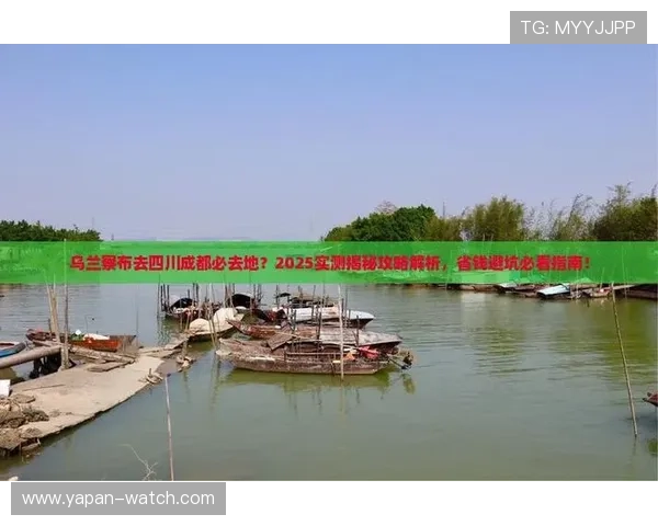 玩球返水怎么算避坑指南极速提现防骗